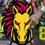 Stuttgart Stallions Rise from the Ashes: A New Era in Arena Football Begins!